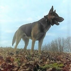 Meet your Posher, Sheila